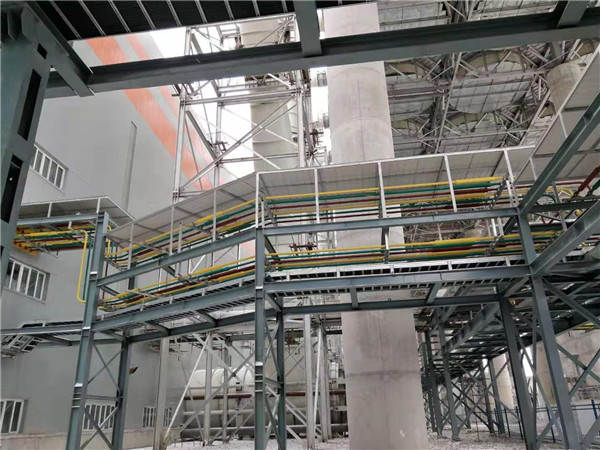 �^������ĸ��